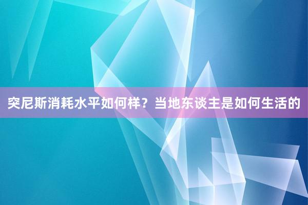 突尼斯消耗水平如何样？当地东谈主是如何生活的